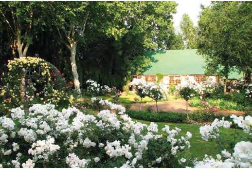 Thornbirds Conference and Wedding Centre